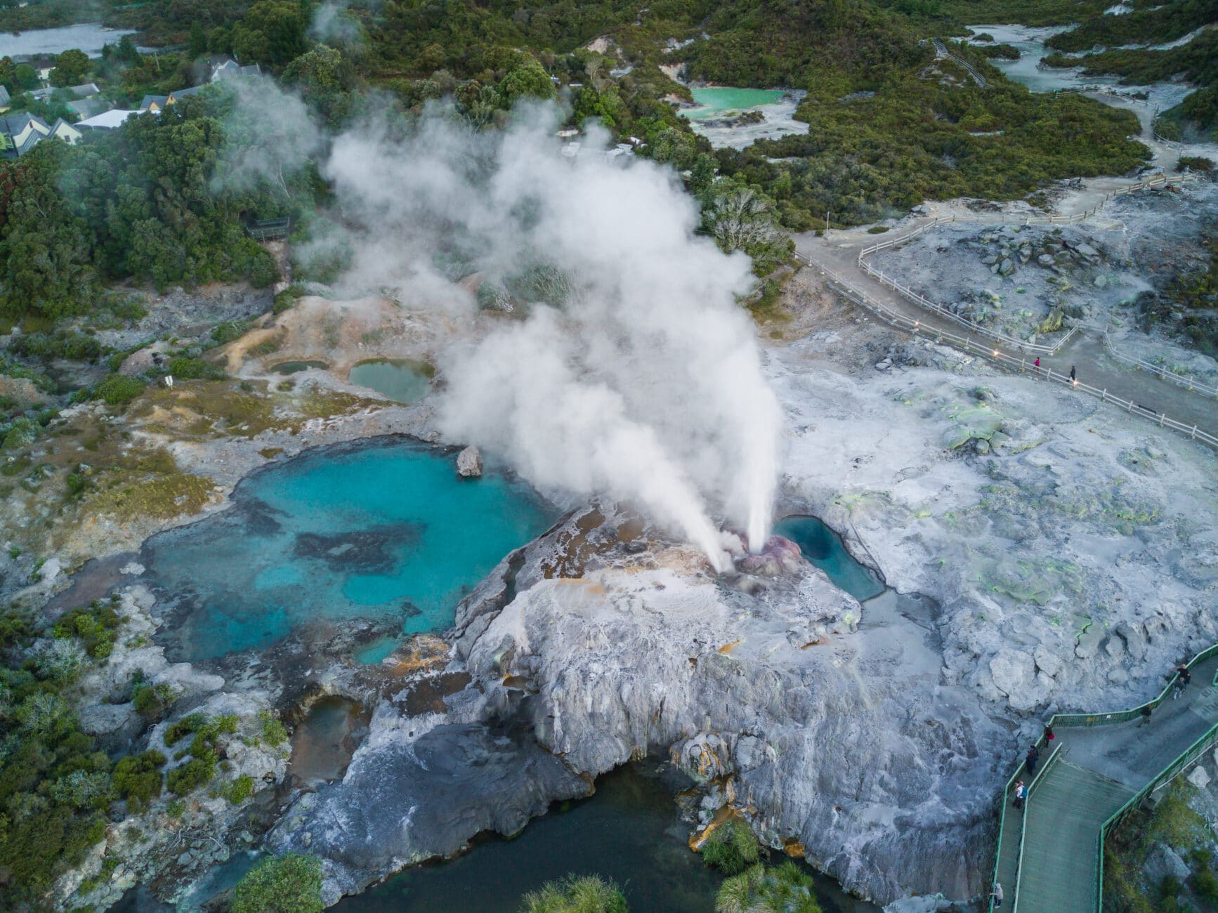 Te Puia Geothermal